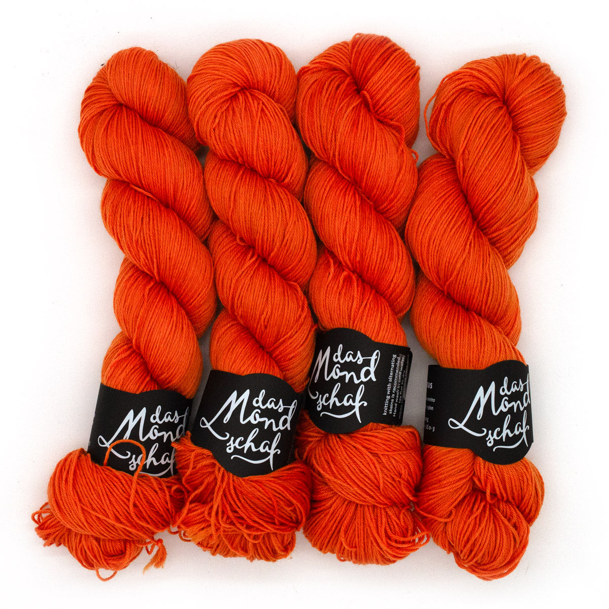 "Antje" VORBESTELLUNG